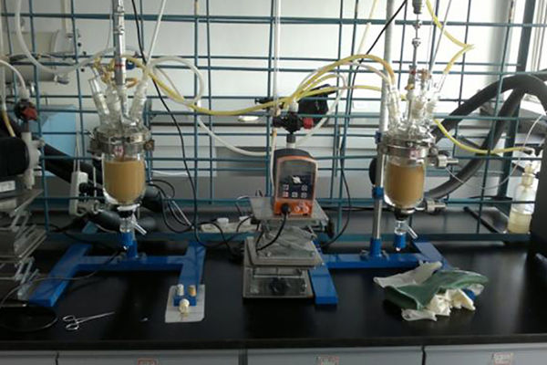 催化剂小试装置