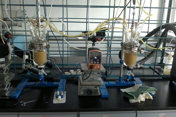 催化剂小试装置