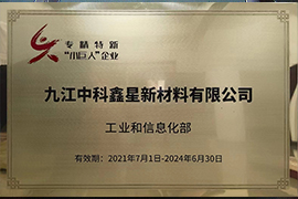 2021年国家专精特新“小巨人”企业