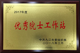 2017年度优秀院士工作站